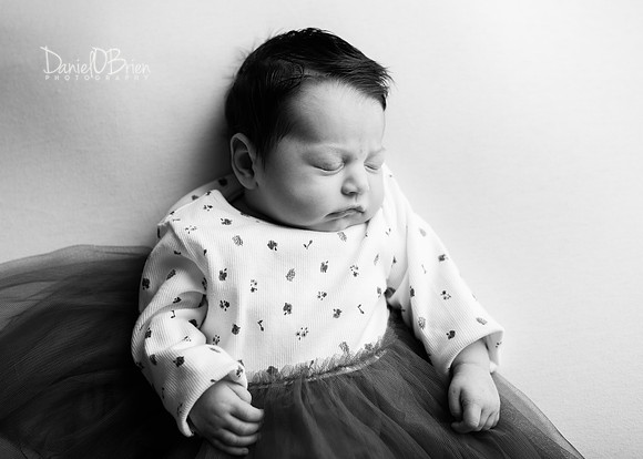 Lilly 0842034