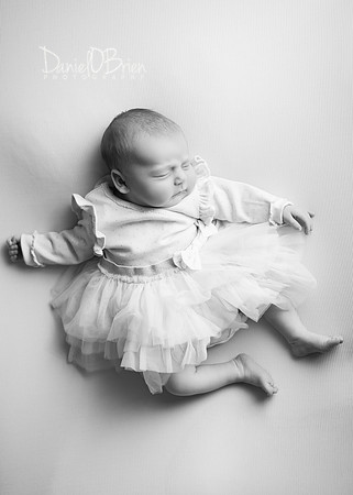 Holly 8142008