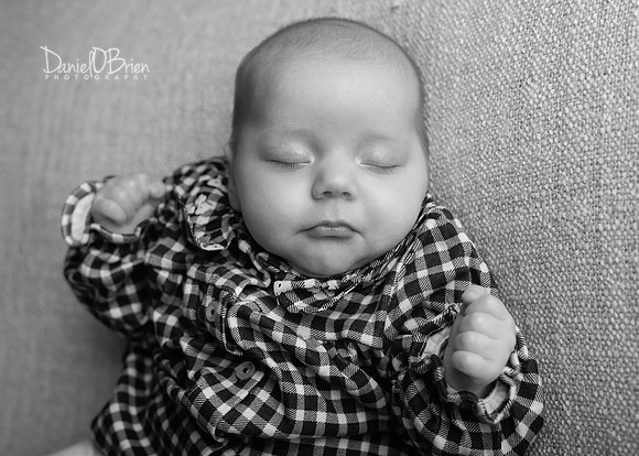 Andrea 0242034