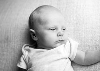 Lochlainn 0433002