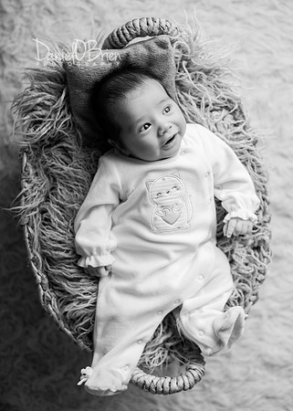 Shay 2004082