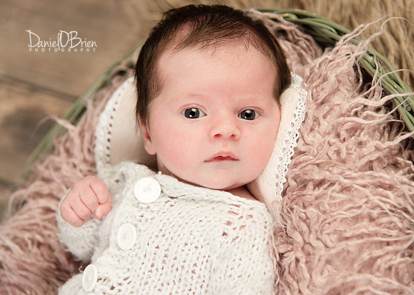 Ellie 5365003