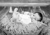 Ellie 5372008