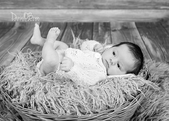 Ellie 5372008