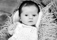 Ellie 5365004