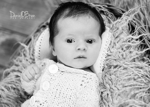 Ellie 5365004