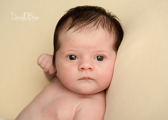 Ellie 5411029