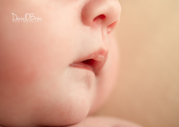Ellie 5418033