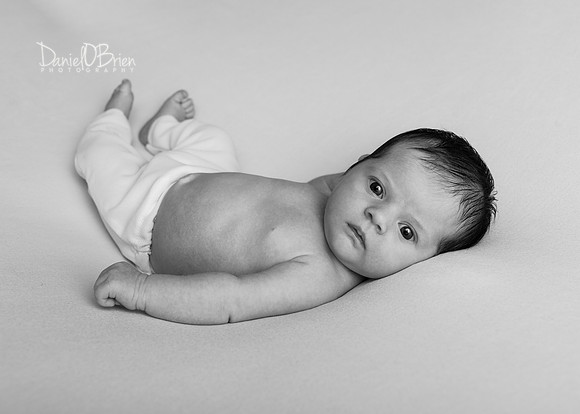 Ellie 5406026