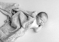 Aine0695012
