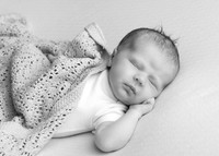 Aine0688010