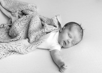 Aine0680004