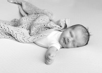 Aine0682006