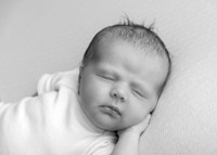 Aine0708018