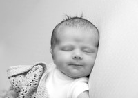Aine0677002