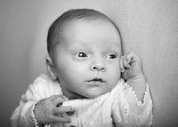 Saorlaith 4024012