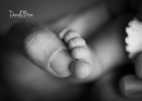 Saorlaith 4042022