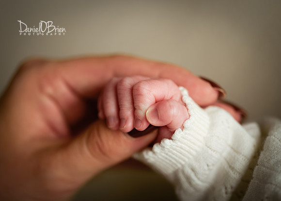 Saorlaith 4062025
