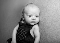 Luca 4662004