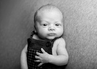 Luca 4660002