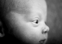 Luca 4676016