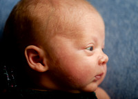 Luca 4679017