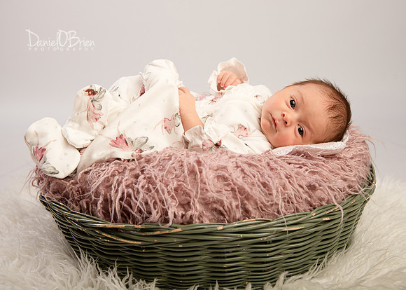 Rose 0541043