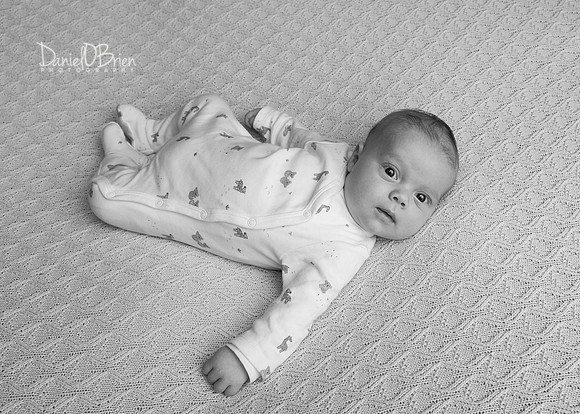 Paudie 4878002