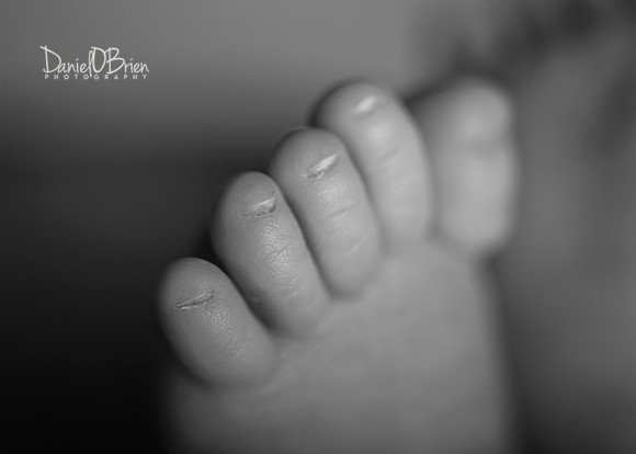 Erin 5127052