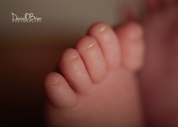 Erin 5127051