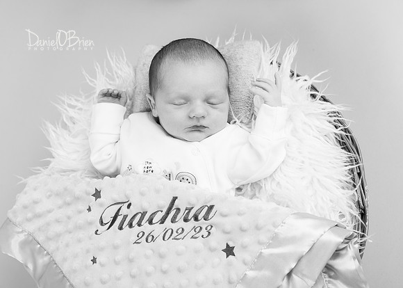 Fiachra 1946036