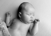 Maia 2905006