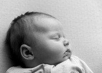 Kate 0345006