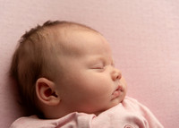 Kate 0345005