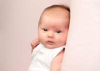 Kate 0365017