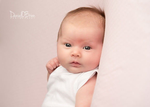 Kate 0365017