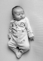 Kate 0343004