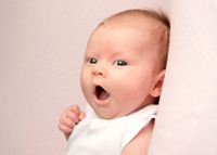 Kate 0366019