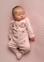 Kate 0343003