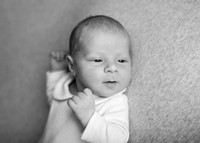 Krystle 6018008