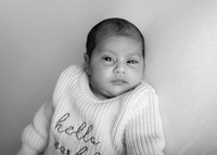 Lidia 9120010