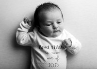 Sophia 3389014