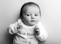 Sophia 3392016