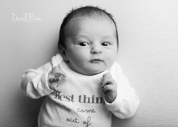Sophia 3392016