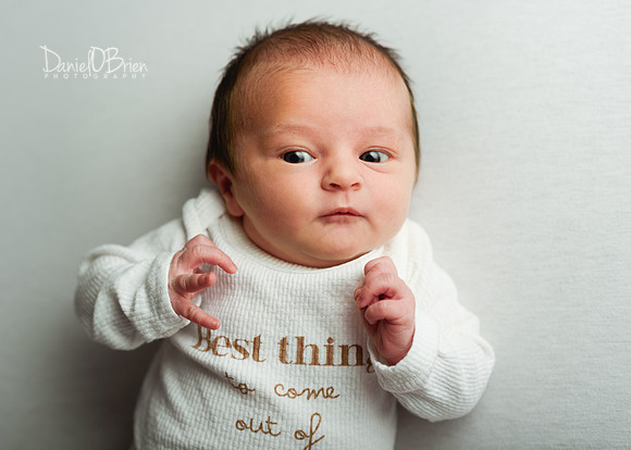 Sophia 3392015