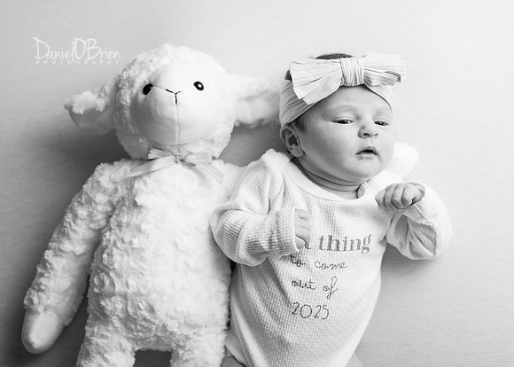 Sophia 3455050