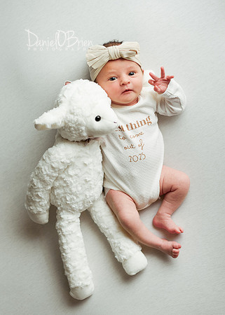 Sophia 3462053
