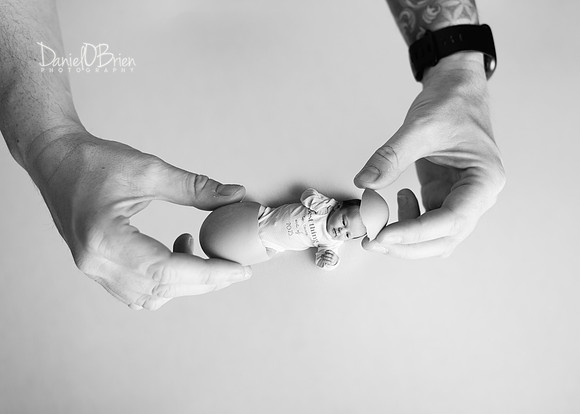 Sophia 3464056