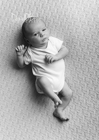 Bobby 9556018