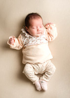 Darcie 9545003